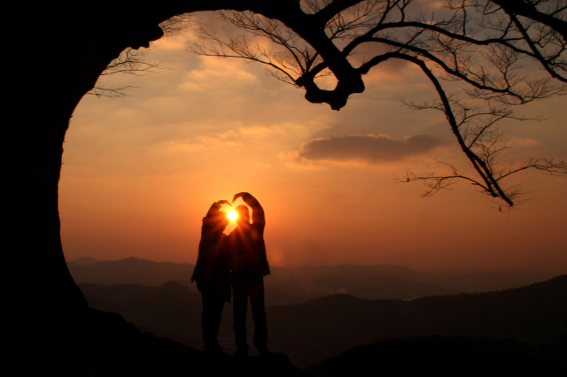 부여 가림성 사랑나무 부여군제공