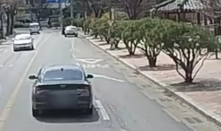 충주 제2로터리~지현동 회전교차 용산시민공원 구간 반송소나무로 인해 무단횡단 및 동물 등 사고가 우려되고 있는 구간이다.