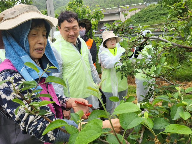 청남도개발공사와 같이하는 농촌일손돕기 농협부여군지부 제공