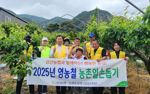 농협금산군지부·금산농협 배 과수농가 일손돕기 실시 사진=금산군농협