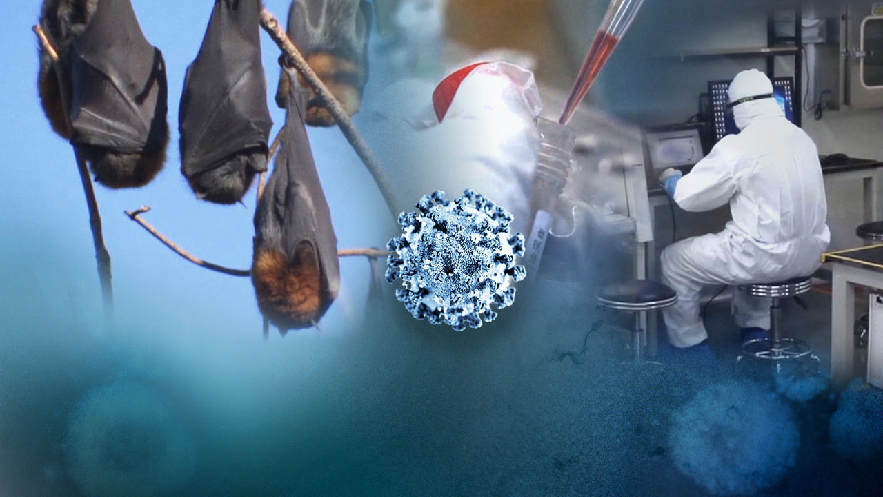 코로나19(CG)[연합뉴스TV 제공]