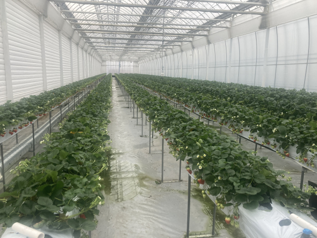 만18세 이상 45세 이하지원가능, 타지역 청년도 금산군 전입 시 신청 가능 사진=금산군