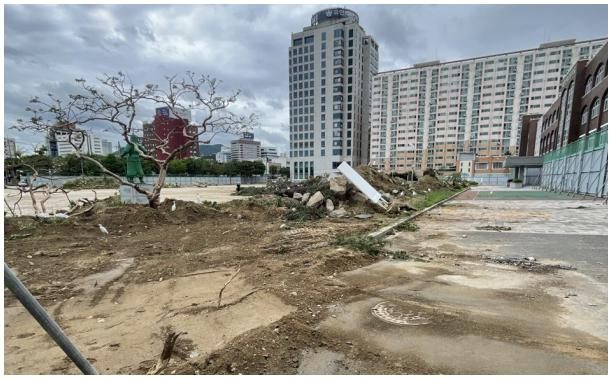 백로들이 서식하던 나무들이 벌목된 모습. 대전충남녹색연합 제공