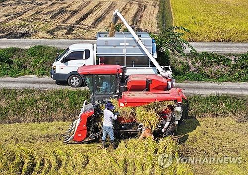 추수하는 농민[연합뉴스 자료사진]
