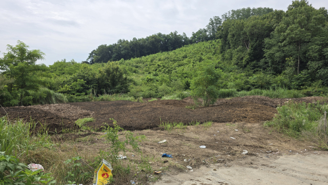 축산분뇨 무단 투기가 의심되는 장소. 독자 제공