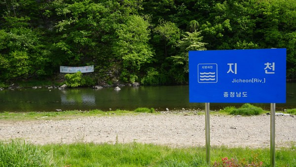 충남 청양군에 흐르고 있는 지천. 사진=박현석 기자