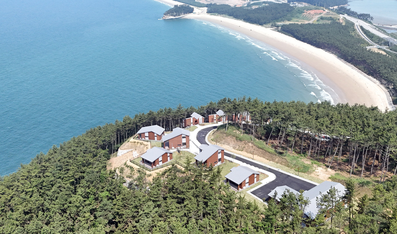 보령 원산도 자연휴양림 [충남도 제공. 재판매 및 DB 금지]