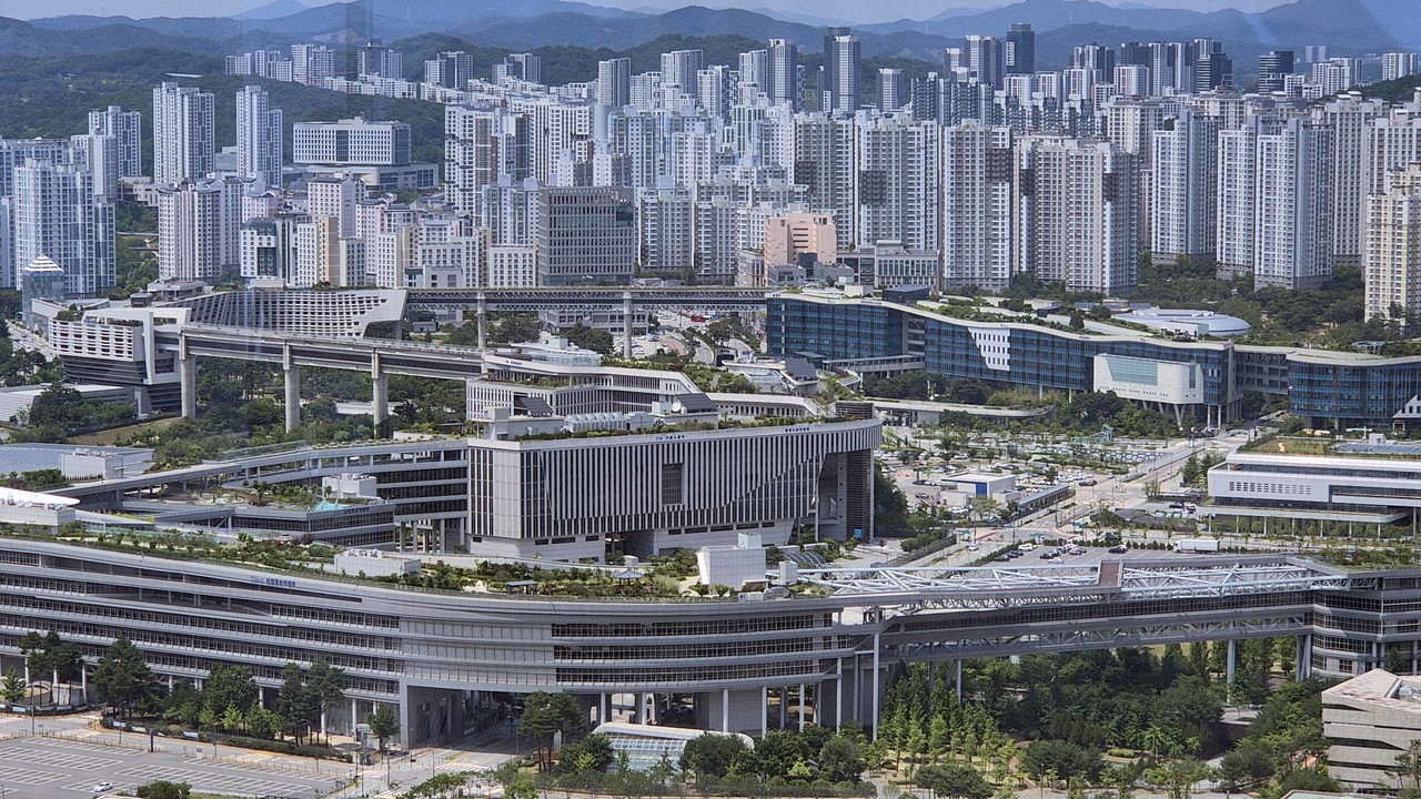 세종. 사진=연합뉴스.