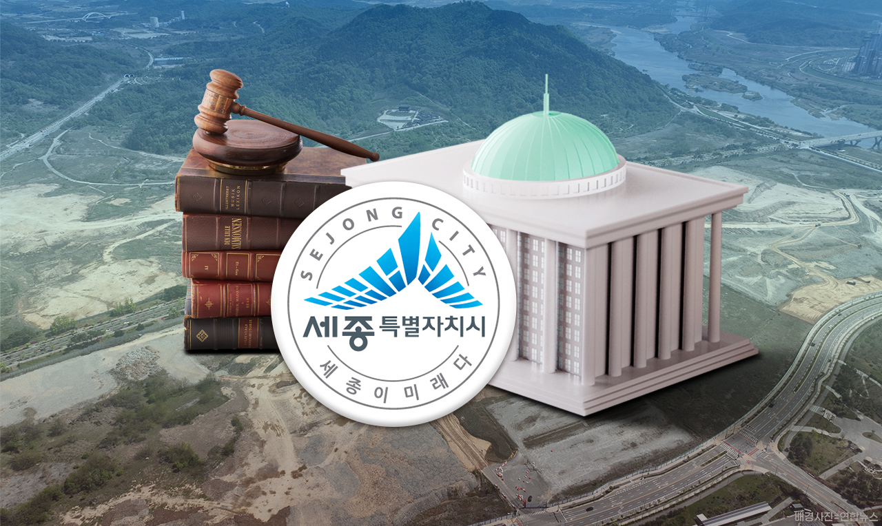 세종시법. 그래픽=김연아 기자. 
