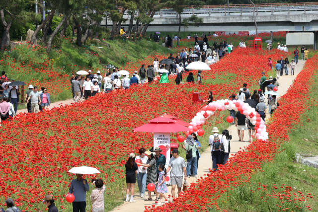 괴산 빨간맛 축제에 많은 관광객이 괴산군을 방문했다. 괴산군 제공