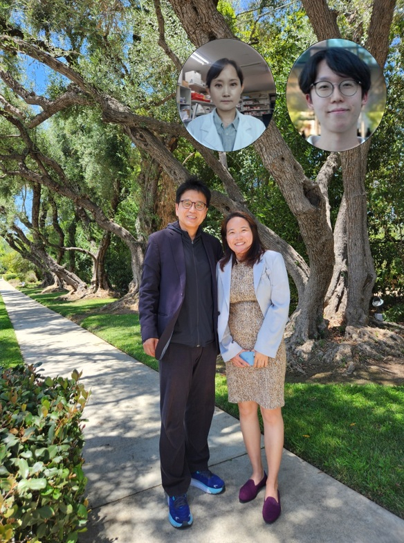 KAIST 연구진이 뇌가 단순히 총열량(칼로리)을 감지하는 수준을 넘어 특정 영양소, 특히 포도당을 선택적으로 인식할 수 있다는 사실을 입증했다. KAIST 제공