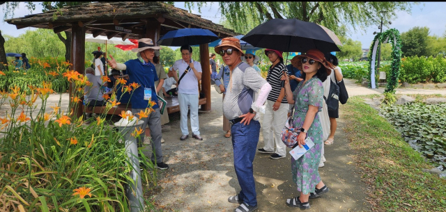 부여 연꽃해설사의 연꽃 설명 부여군제공