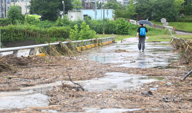많은 비가 내린 17일 대전 유성구 갑천 일대에 부유물이 쌓여 있다. 김주형 기자 kjh2667_@cctoday.co.kr