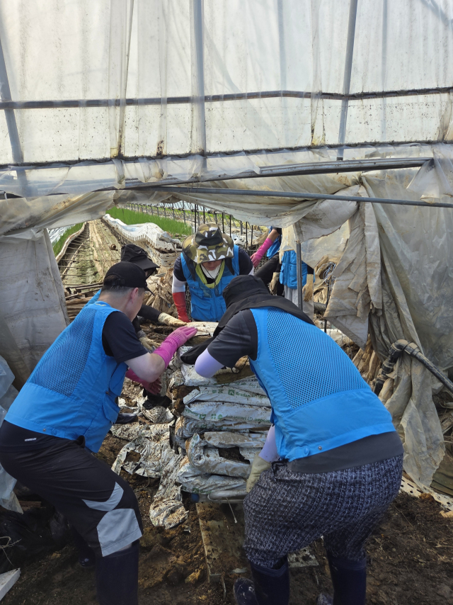 농협중앙회 대전지역본부와 NH대전농협봉사단 등 대전 범농협 임직원들이 22일 충남 예산의 수해 피해 농가에서 복구작업을 진행하고 있다. 대전농협 제공