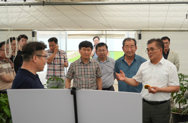 김기웅 군수가 마산면 열대작물 재배단지를 방문해 현황을 청취하고 있는 모습.사진=서천군 제공.