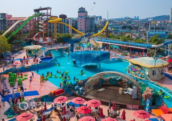 마스타대천워터파크. 충청투데이 DB.