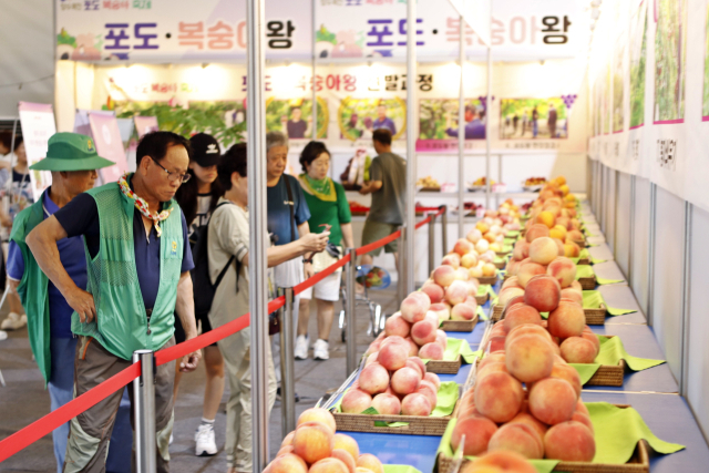 2025 향수옥천 포도복숭아축제가 1~3일까지 옥천공설운동장 일원에서 개최된다.(사진/옥천군 제공)