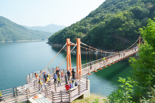 충주 심향산 종댕이길 출렁다리 모습.사진=충주시