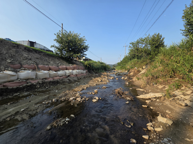 이번 집중호우로 피해를 입은 청양군 대치면 농소천 모습