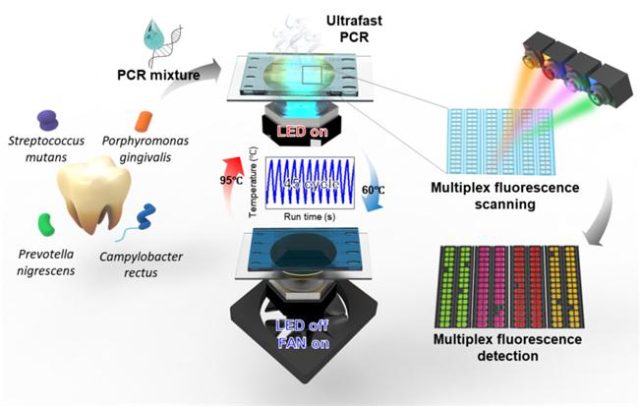 다종 유전자 진단을 위한 플라즈모닉 광열 디지털 PCR 프로세스 개략도.한국생명공학연구원 제공.