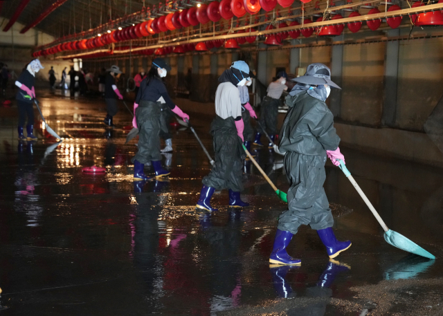 아산시 축산농가서 수해 복구 봉사활동을 벌이는 의회 사무국 직원들 모습. 아산시 제공