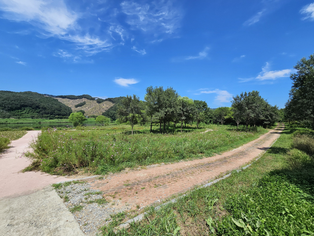 충주시가 가흥리 친수공간에 6억 원을 들여 조성한 수변생태공원이 관리 부실로 꽃과 잡초가 뒤엉켜 방치된 모습.사진=김의상 기자