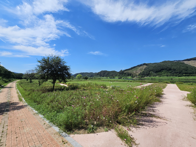 충주시 가흥초등학교 뒤편 제방 아래 위치한 수변생태공원의 전경.사진=김의상 기자