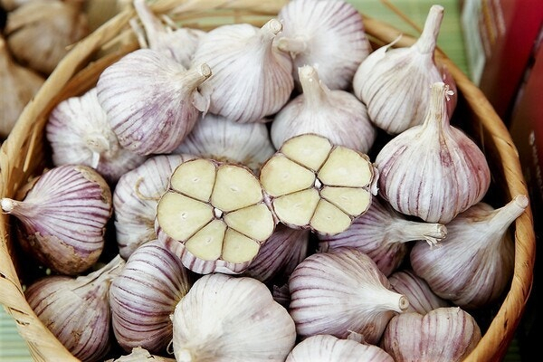 서산6쪽마늘. 서산시 제공