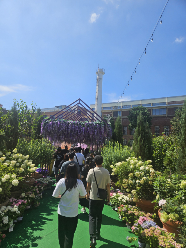 패밀리테마파크 '꿈돌이 정원' 전경. 사진 대전문화재단 제공