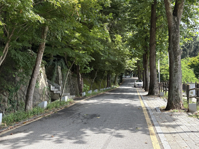 대전 을유해방기념비가 있음을 알리는 팻말이 보문산공원 도로에 한쪽에 세워져 있다. 사진=김세영 기자