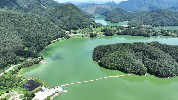 최근 폭염으로 수온이 상승하며 녹조가 확산되고 있는 가운데 5일 충북 옥천군 군북면 대청호가 초록빛으로 물들어 있다. 기사와는 상관이 없습니다. 김주형 기자 kjh2667_@cctoday.co.kr