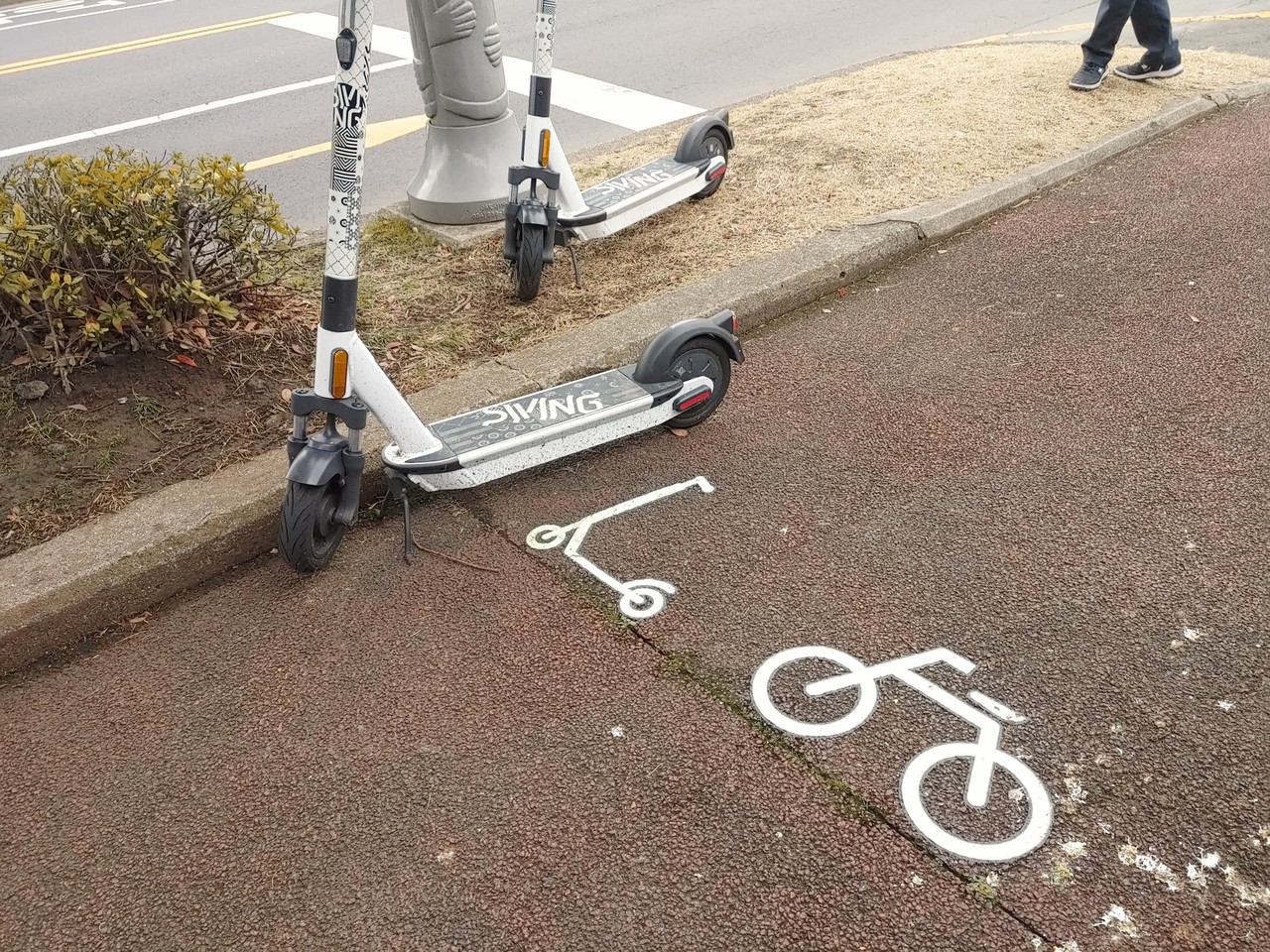 전동 킥보드[연합뉴스 자료사진]