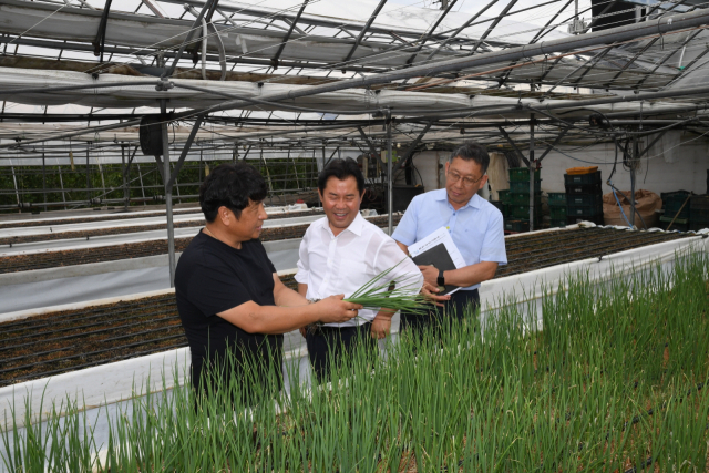 발효 왕겨 활용 쪽파 수경재배 시연회 부여군제공