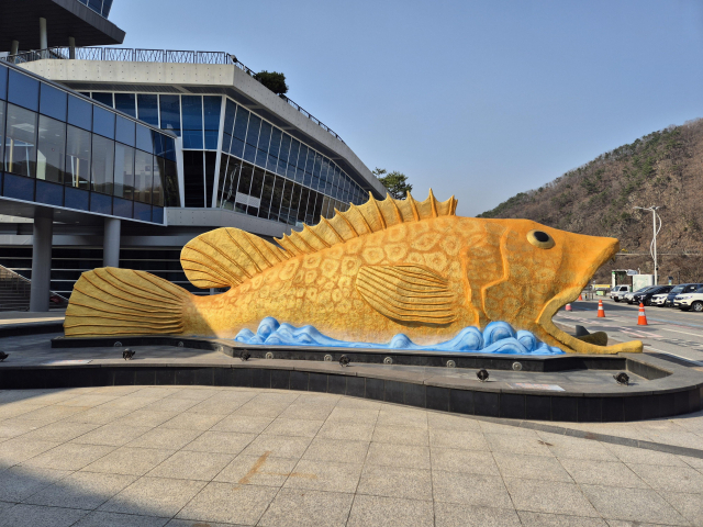 대한민국 민물고기 수족관 1번지로의 위상을 강화하고 있는 다누리아쿠아리움은 7월 한 달간 관람객은 31,343명으로 증가했고 수입은 2억 9554만원이다. 사진은 다누리아쿠아리움 전경. 단양군 제공