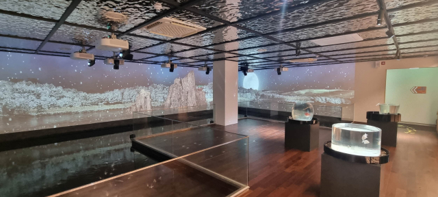 대한민국 민물고기 수족관 1번지로의 위상을 강화하고 있는 다누리아쿠아리움은 7월 한 달간 관람객은 31,343명으로 증가했고 수입은 2억 9554만원이다. 사진은 비단잉어 수조 모습. 단양군 제공