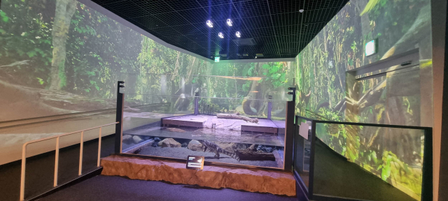 대한민국 민물고기 수족관 1번지로의 위상을 강화하고 있는 다누리아쿠아리움은 7월 한 달간 관람객은 31,343명으로 증가했고 수입은 2억 9554만원이다. 사진은 악어수조 모습. 단양군 제공