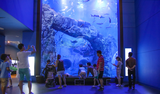 대한민국 민물고기 수족관 1번지로의 위상을 강화하고 있는 다누리아쿠아리움은 7월 한 달간 관람객은 31,343명으로 증가했고 수입은 2억 9554만원이다. 사진은 다누리아쿠아리움 관광객 모습. 단양군 제공