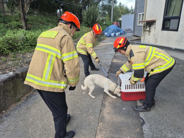 소방대원들이 유기견을 포획하고 있다. 충남소방본부 제공