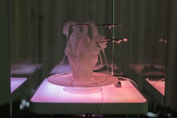 테크아트의 예시로 들 수 있는 대전문화재단 ‘아티언스 대전’ 작품.  대전문화재단 제공