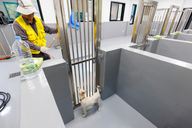 단양군은 지난 8월부터 단양군 동물보호센터를 정식 운영하며, 기존 민간 위탁 방식에서 벗어나 직영 체계로 전환했다. 동물보호센터 내부 모습. 단양군 제공