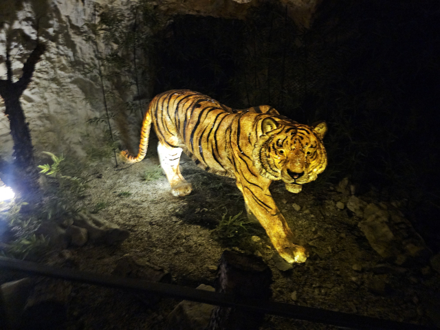 활옥동굴 안 작은 연결 통로에 설치된 동굴 호랑이 조형물 모습.사진=김의상 기자