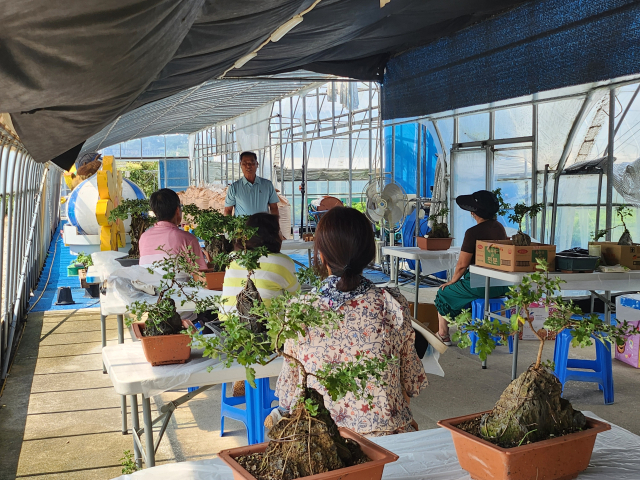 홍성군농업기술센터가 군민들을 대상으로 국화 분재 교육을 진행하고 있다. 사진=홍성군 제공