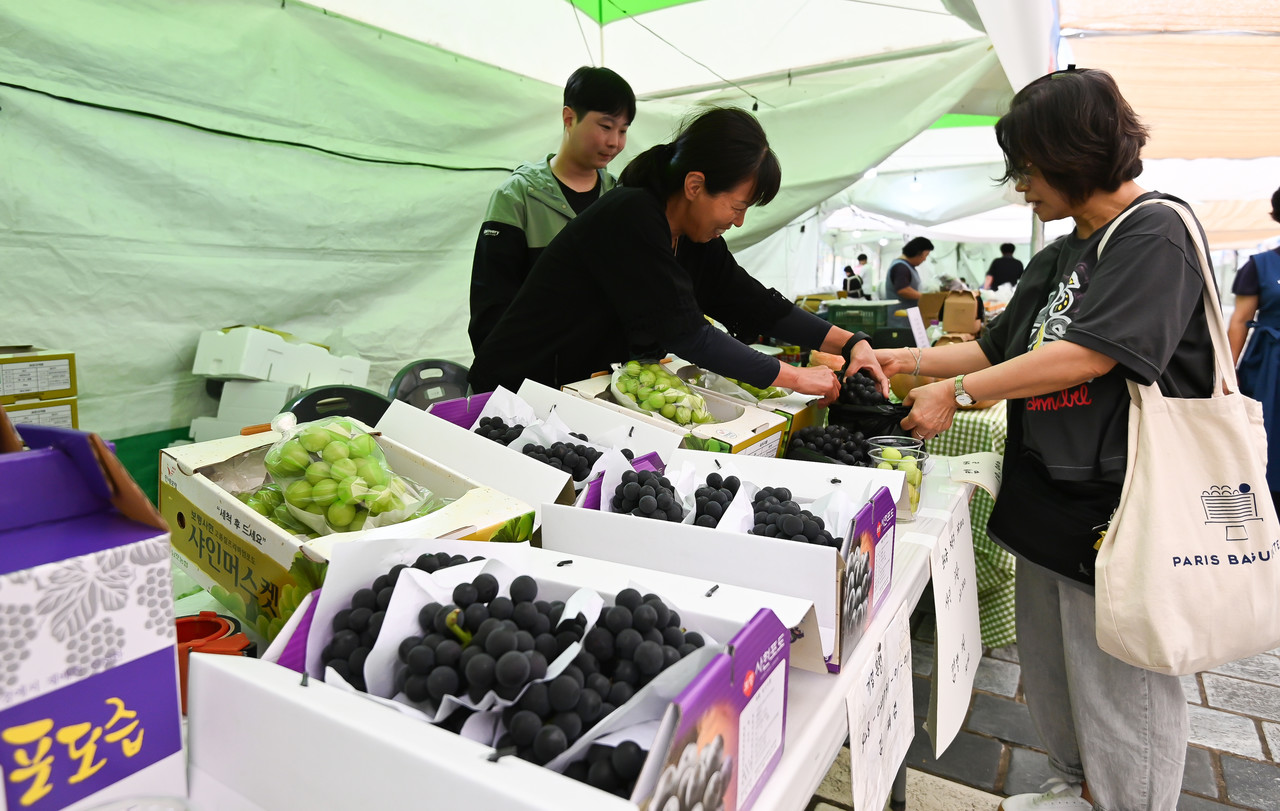21일 대전 한빛탑에서 열린 ‘2025 우리농수축산물큰잔치 제23회 대전세종충청 푸드&맥주페스타'를 찾은 시민들이 농수축산물을 살펴보고 있다. 김주형 기자 kjh2667_@cctoday.co.kr