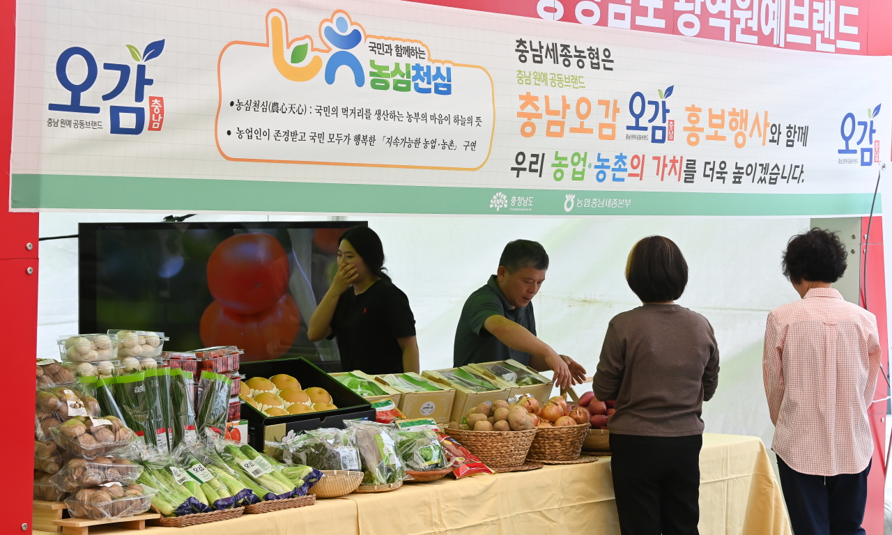 21일 대전 한빛탑에서 열린 ‘2025 우리농수축산물큰잔치 제23회 대전세종충청 푸드&맥주페스타'를 찾은 시민들이 농수축산물을 살펴보고 있다. 김주형 기자 kjh2667_@cctoday.co.kr