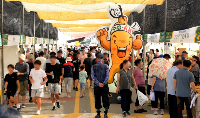 25~28일 개최되는 음성명작페스티벌에서는 다양한 공연·체험을 제공하고 먹거리도 풍성하게 운영된다. 사진은 명작장터 모습. 음성군 제공