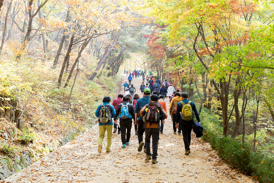 산행. 클립아트코리아 제공.