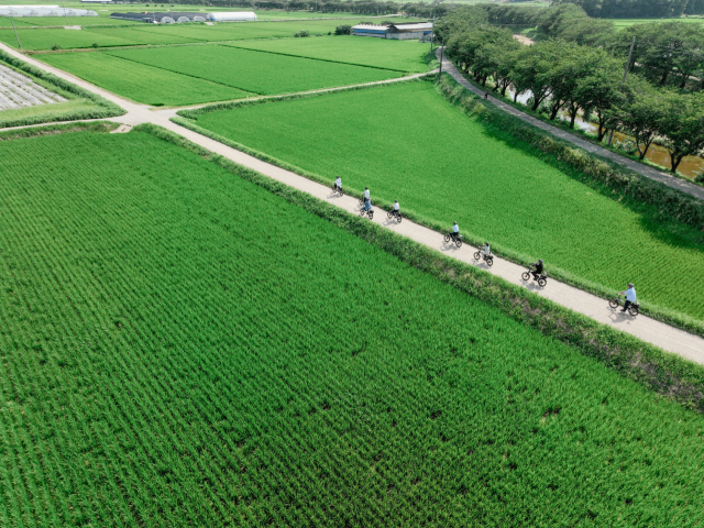 문당환경농업마을의 ‘따르릉 홍성 유기논길' 프로그램. 사진=홍성군 제공