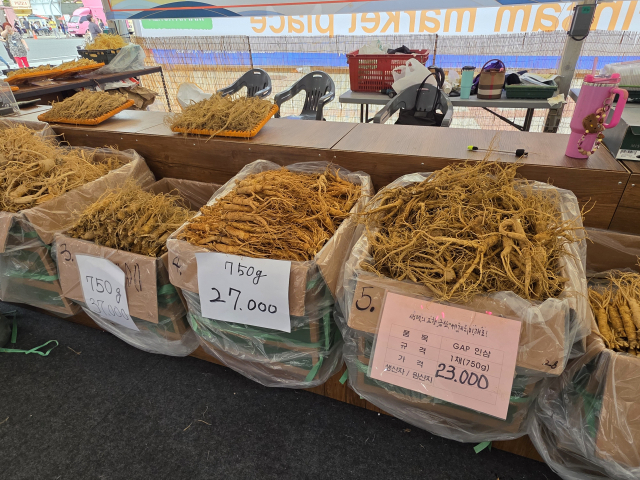 수삼의 국내 유통은 한계점에 이르고 있다. 사진=이상문 기자