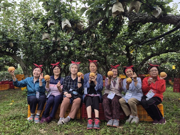 ▲ 아산종합사회복지관은 최근 노인맞춤돌봄서비스 대상자 어르신을 모시고 둔포면에 위치한 민상농원을 방문해 ’달콤배 수확 사랑 나눔‘이란 주제로 배 따기 체험 행사를 진행했다.  아산종합사회복지관 제공