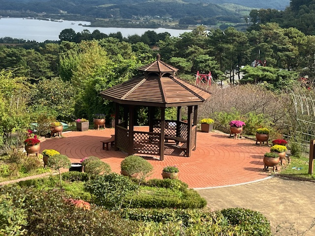 예산군 봉수산수목원에 국화가 활짝 피어 가을의 정취를 느낄수 있다. 예산군 제공